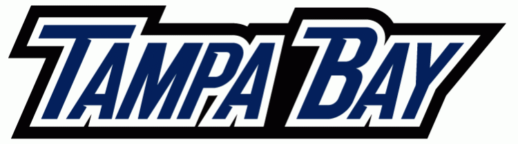Tampa Bay Lightning 2007-2010 Wordmark Logo iron on heat transfer